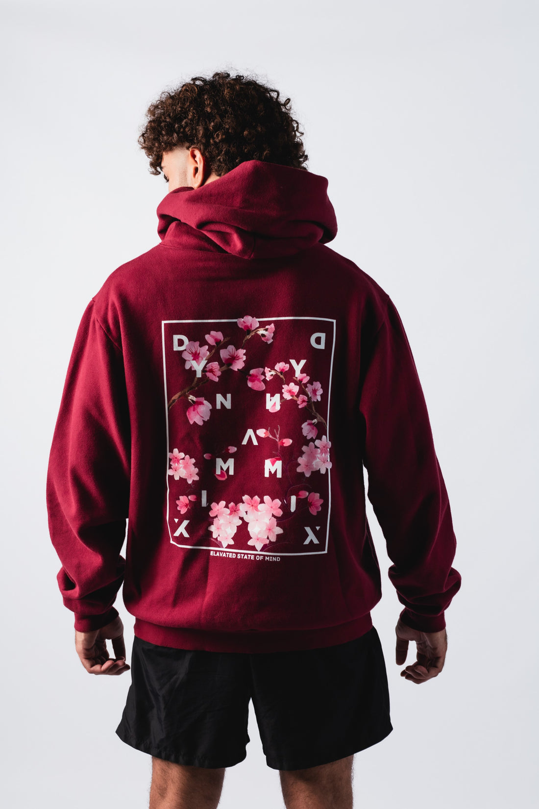 Assc cherry hot sale blossom hoodie